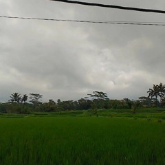 RAY PENI - TRESNA LATO LATO_shH0gjw9q0g.mp3