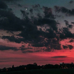 traitor - olivia rodrigo cover