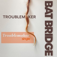 Troublemaker
