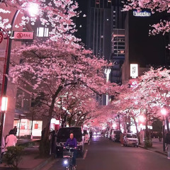 Sakura