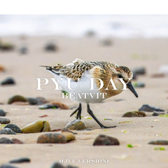 Pyu Day (Live Version)