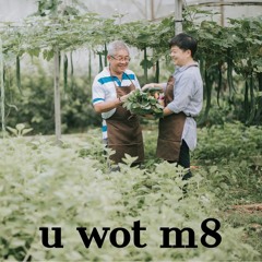 u wot m8