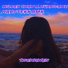 wilder than a hurricane tekk.wav