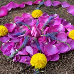 Ho'o'pono'pono