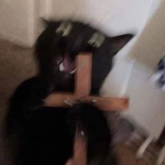 Hi