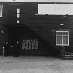 Steel Trees - Crank It UP.wav