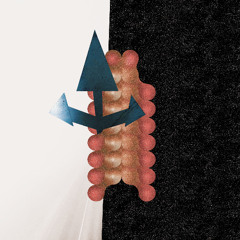 RYCL024 - Polygonia - Voltage Blues