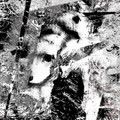 Lilū & Korus - Intertwined