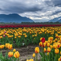 Maroon 5 - Maps piano