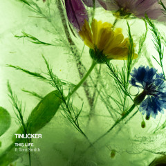 This Life (feat. Tom Smith)