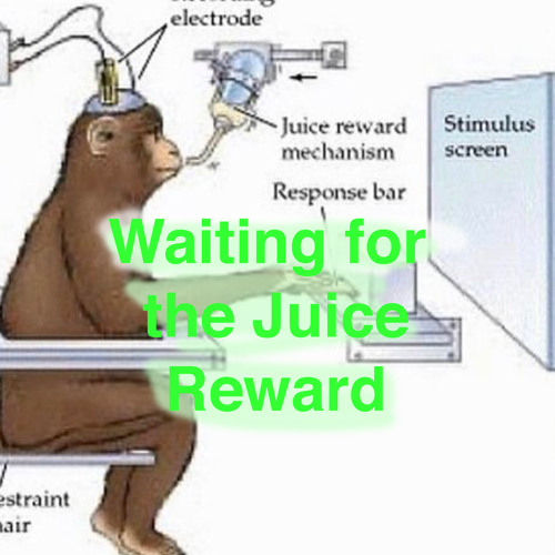 Waiting for the Juice Reward