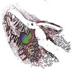 CRASHOUT