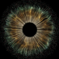 Reflected eyes | Mirror of  Creation | English | #Mindblend | Inner Realm