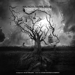 Haj Agha Tahvil Begir