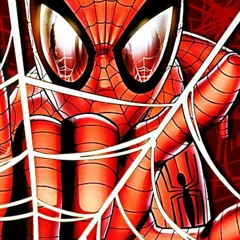 Spiderman nascar shop jacket
