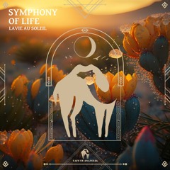 Lavie Au Soleil - Symphony Of Life (Cafe De Anatolia)