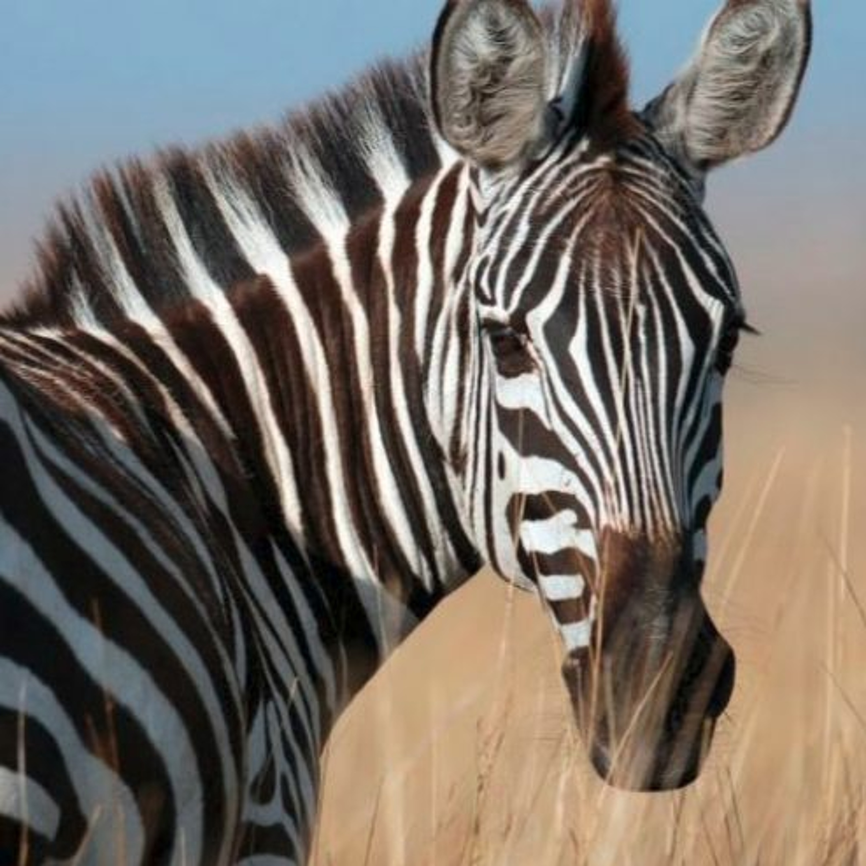 Astronomie - En route vers les etoiles