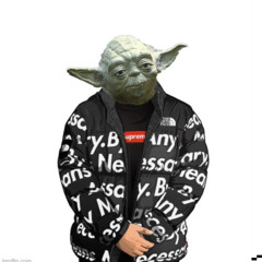 maître yoda