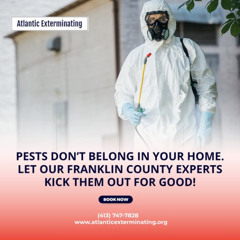 Pests don’t belong in your home. Let our Franklin County experts kick them out for good!