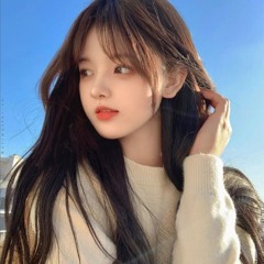 Ải Hồng Nhan Remix  Cần Vinh X Lee Ken   Hot TikTok 2024