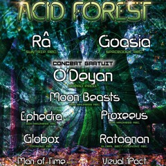 Acid Forest