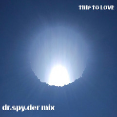 DR.SPY.DER MIX / TRIP TO LOVE