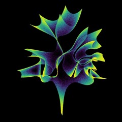 YPO - Jumping Flower [FREE DL]