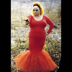 $ID VICIOU$ - лебединое озеро (prod. cosmosprut)