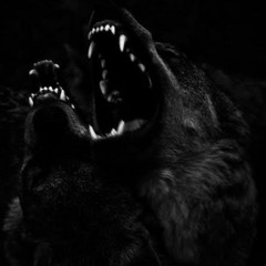 Stonekicker - Dogs (Pink Floyd Cover)