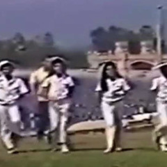 يا طيور النورس - محمد ثروت