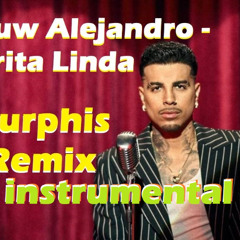 Rauw Alejandro - Carita Linda ( Ourphis Remix instrumental )