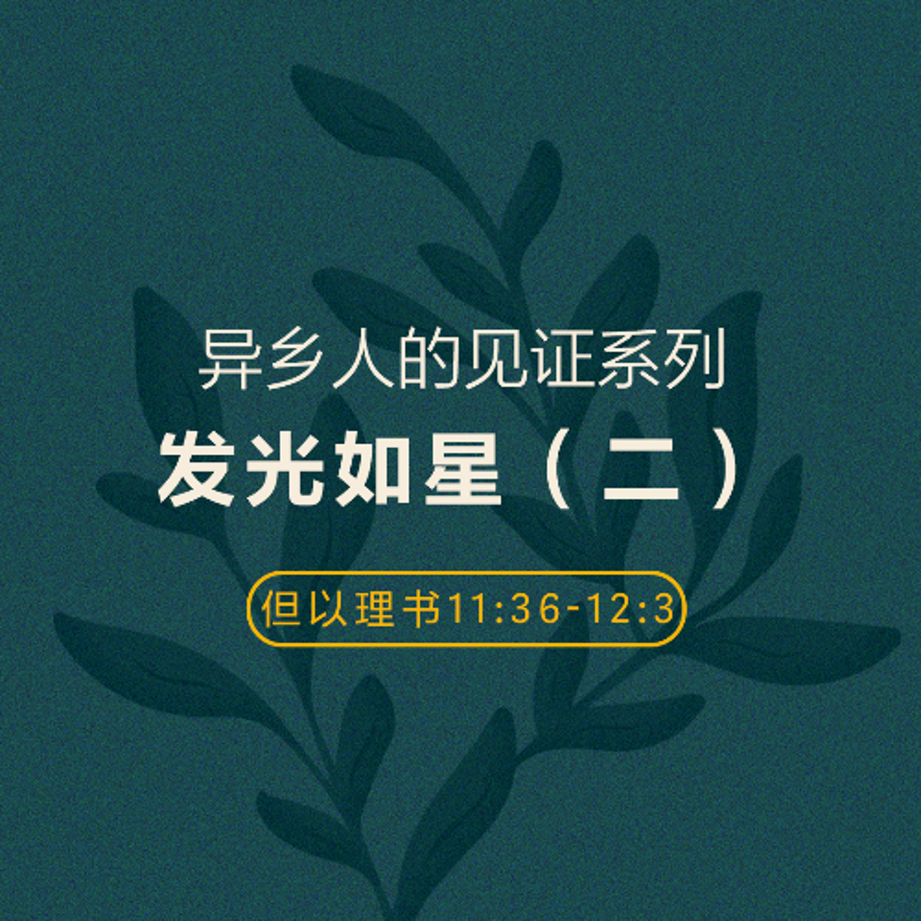 08/31/2025 【异乡人的见证】发光如星（二）（但 11:36-12:3） —— 王唯权 牧师