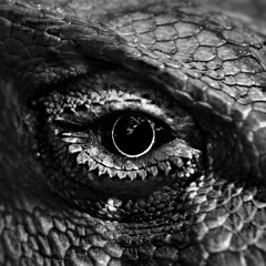 Technoraptor 4 Life