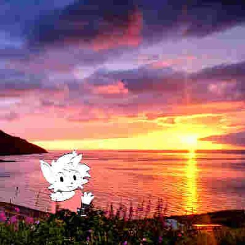 ˜”*°• To See A Sunrise (BIRTHDAY SPECIAL)•°*”˜