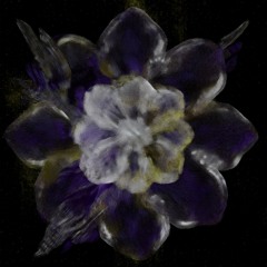 OASE - Konzentrat B [Free DL]