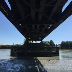 Fraser River near cement plant - on Epic Walk July 15 2021 (binaural)