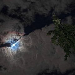 لك بيرقٍ في القلب حبك يهبّه 🤍