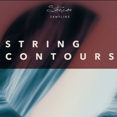 Echoes - Official Demo for Strezov Sampling's "String Countours"