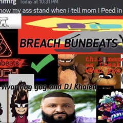 Fnf BunBeats: Breach