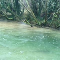 Between the Bars - Elliott Smith (Cover)