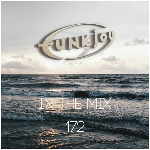 funkjoy - In The Mix 172