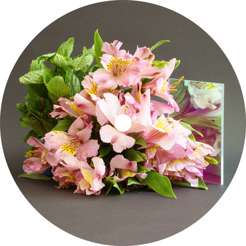 Do it anyway (Original)