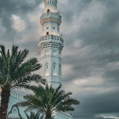 الشيخ عمرو الشرقاوى