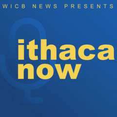 WICB's Inaugural "Radiothon"/14th Annual "Wheels for Women Cabaret"