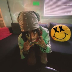 TRIPPN