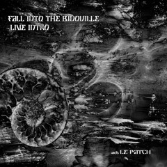 Fall into the Bidouille (extract Live intro) - [Le Patch]