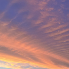 Love Galore Cover (ft. Sanoe)