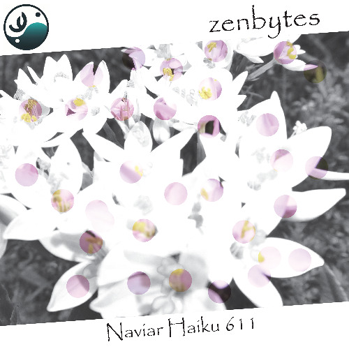 half-asleep eyes - Naviarhaiku611