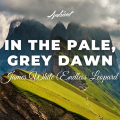 Thomas James White - In The Pale, Grey Dawn (Endless Leopard Remix)