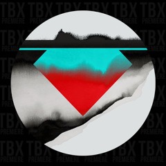 Premiere: Toman - Insomnia [Moss Co.]